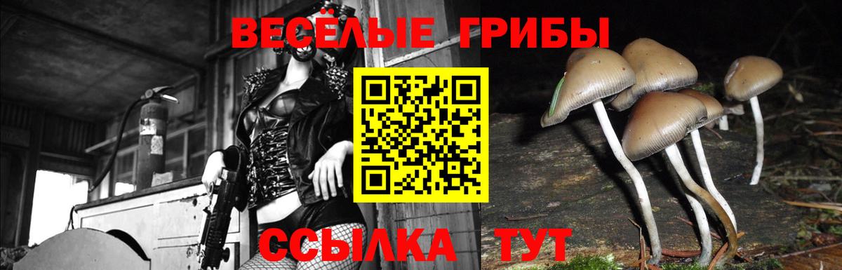 купить наркотики цена  Вход с VPN  Валуйки  Псилоцибиновые грибы Magic Shrooms 